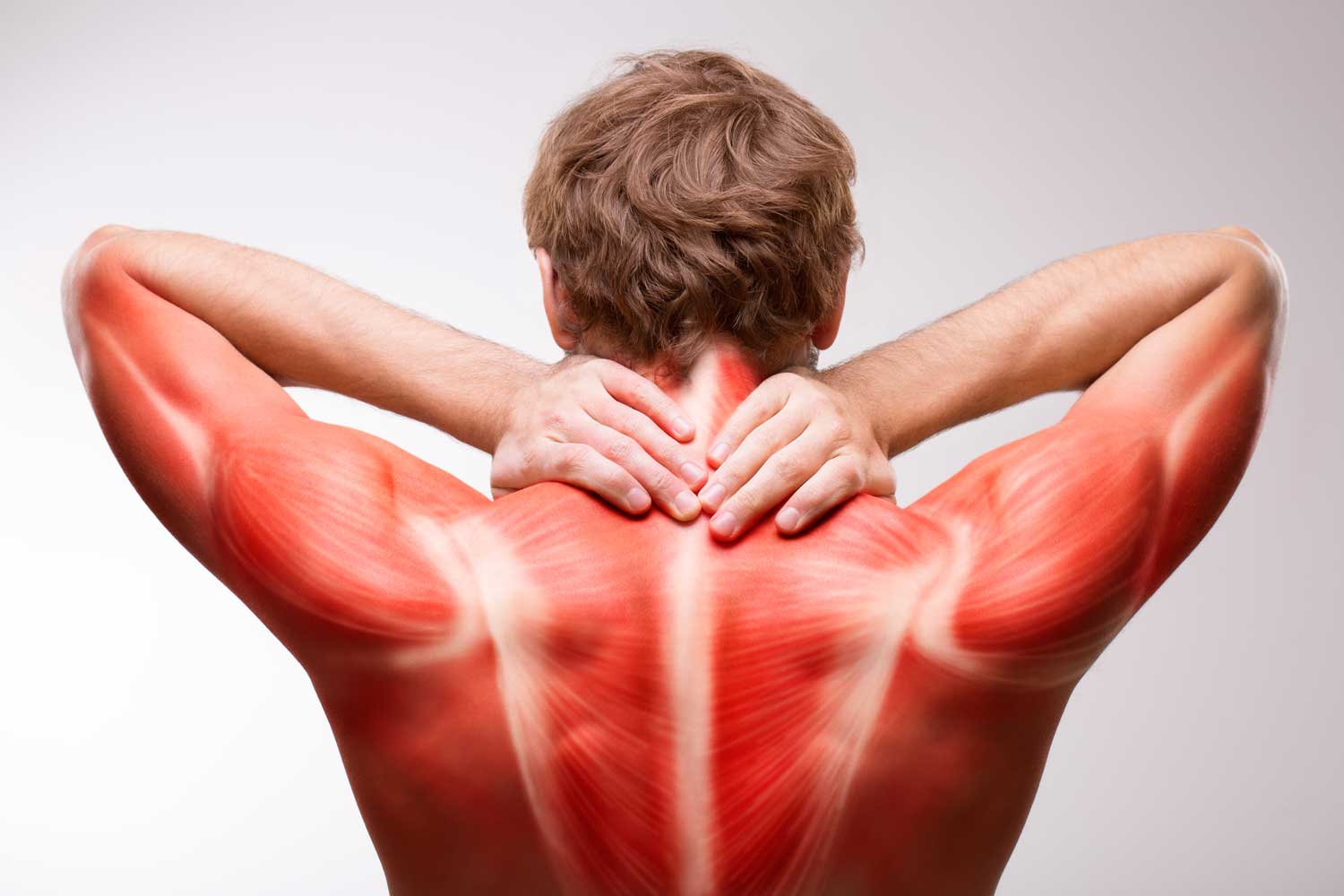 Dores Musculares
